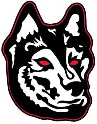 Northeastern Huskies 2007-Pres Alternate Logo v2 diy fabric transfer